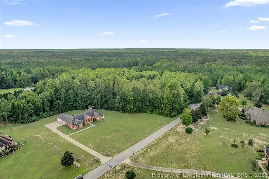 251 Water Ridge Lane, Stedman, NC 28391 - #2