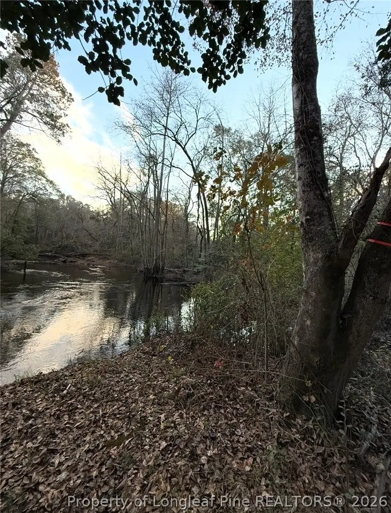 Higgins Lane, Raeford, NC 28376 - #3