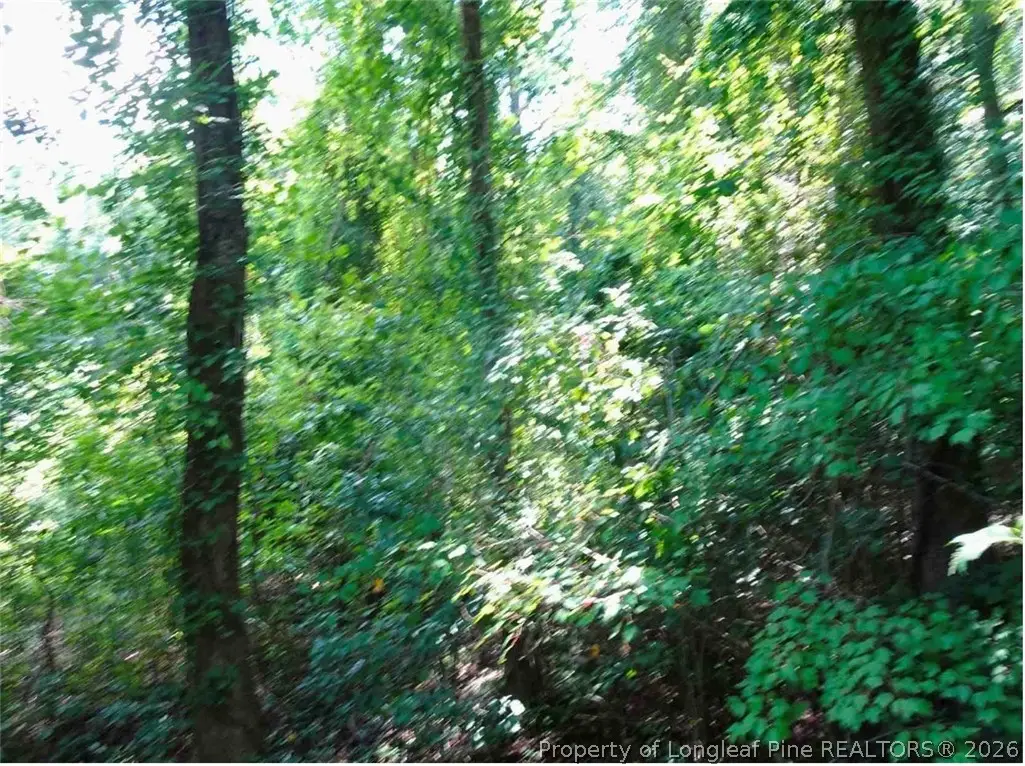 000 Gilbert Road, Eastover, NC 28312 - #1