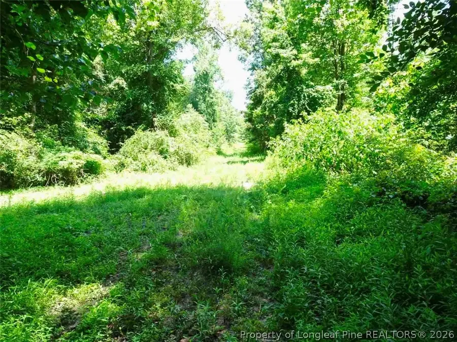 000 Gilbert Road, Eastover, NC 28312 - #2