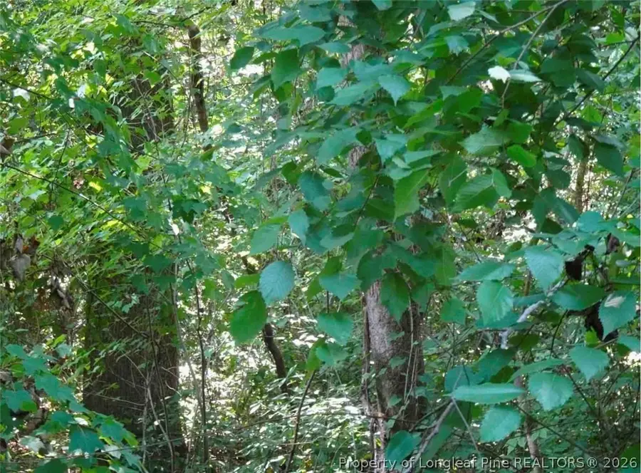 000 Gilbert Road, Eastover, NC 28312 - #3