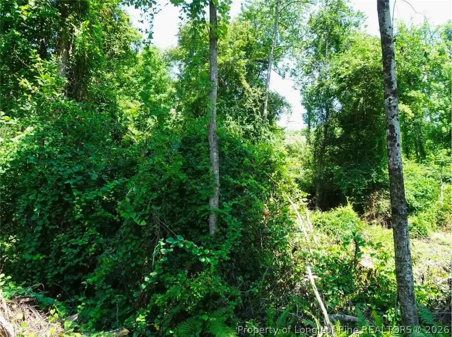 000 Ridgefield Road, Eastover, NC 28312 - #2