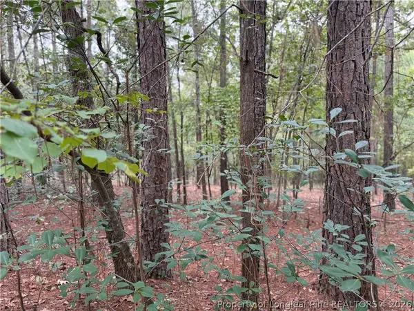 Lot 7a Mumford Road, Raeford, NC 28376