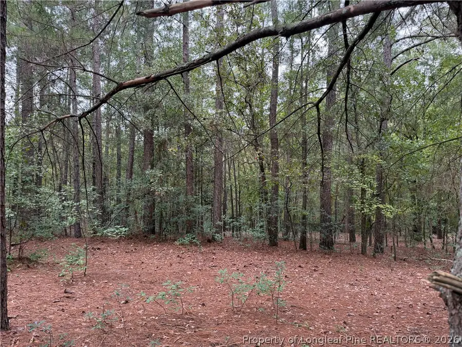 Lot 7a Mumford Road, Raeford, NC 28376 - #2