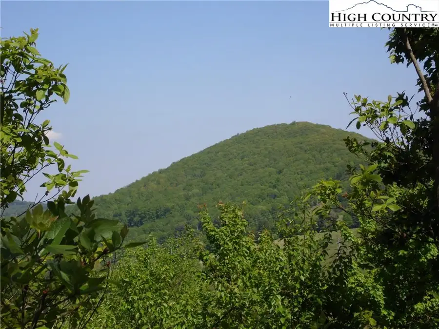 Lot #37 Ridgewood Road, Sparta, NC 28675 - #3