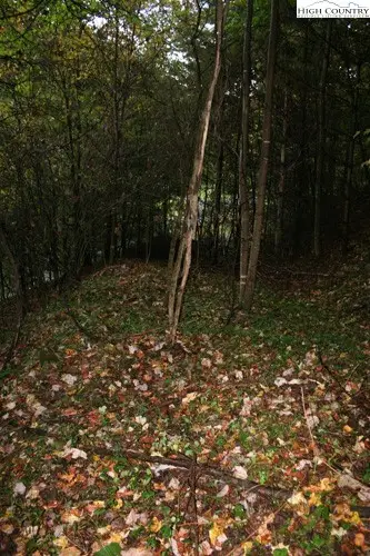 #3