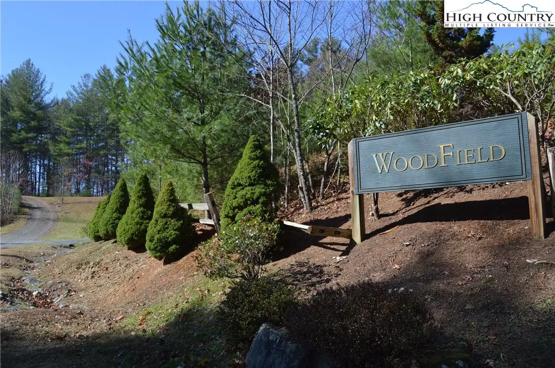 TBD Savannah Ridge Road, Fleetwood, NC 28626 - #1