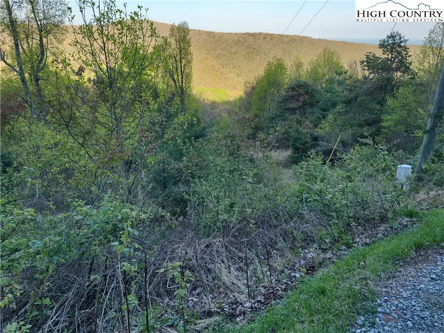 Lot 10 Park Vista Lane, Sparta, NC 28675 - #3