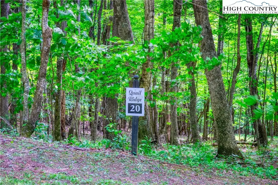 Lot 10 Quail Ridge Drive, Fleetwood, NC 28626 - #2