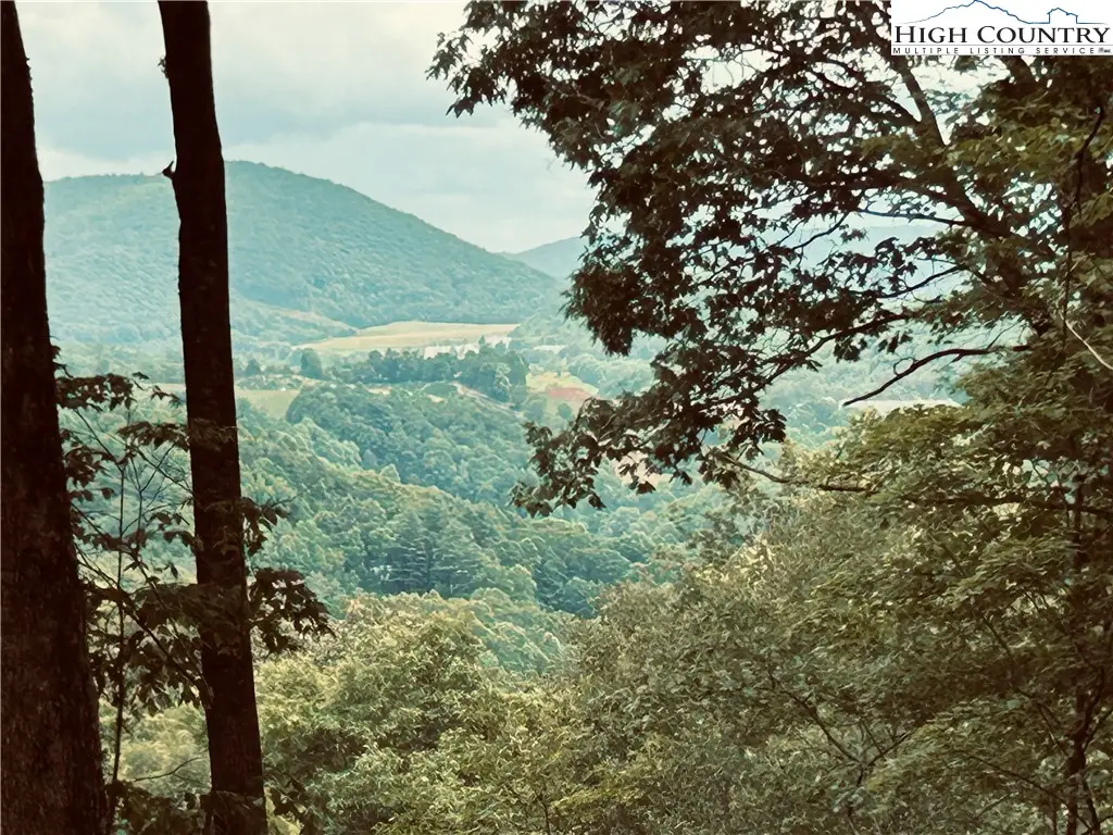 Lot 64 Poplar Forest Drive, Boone, NC 28607 - #1