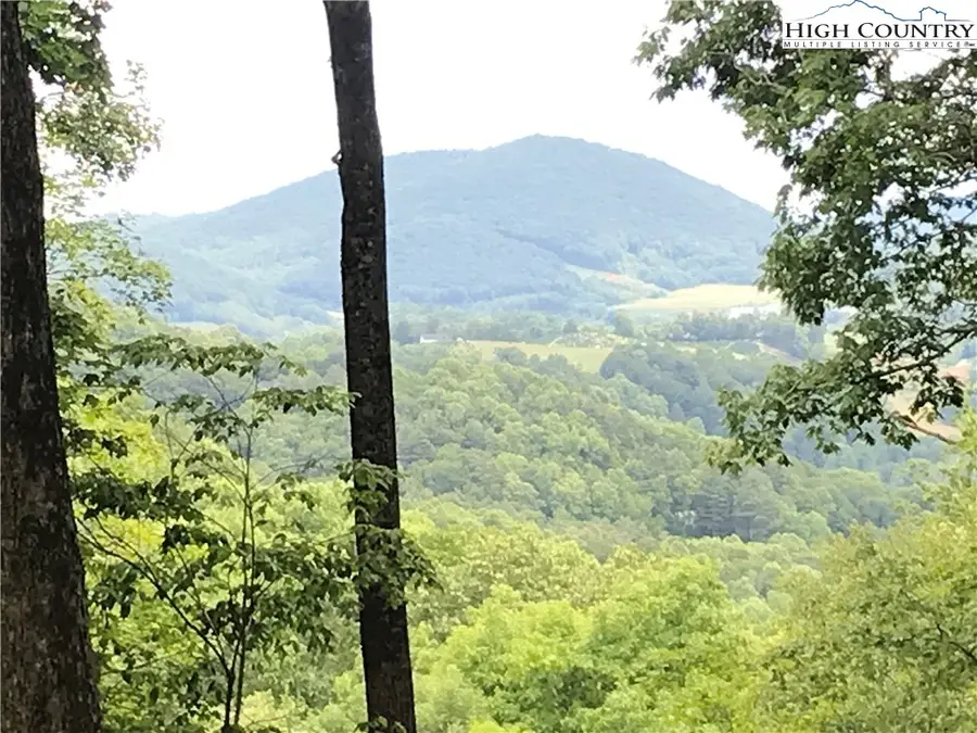 Lot 64 Poplar Forest Drive, Boone, NC 28607 - #2