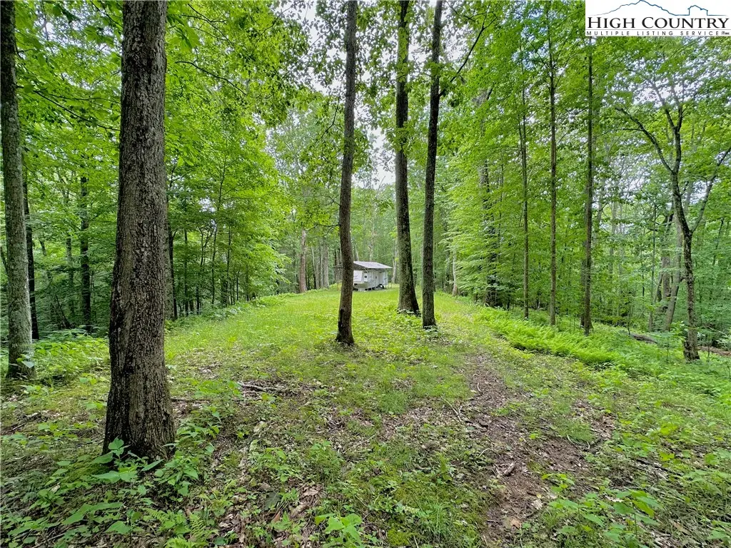 149 Painter Road, Banner Elk, NC 28604 - #1