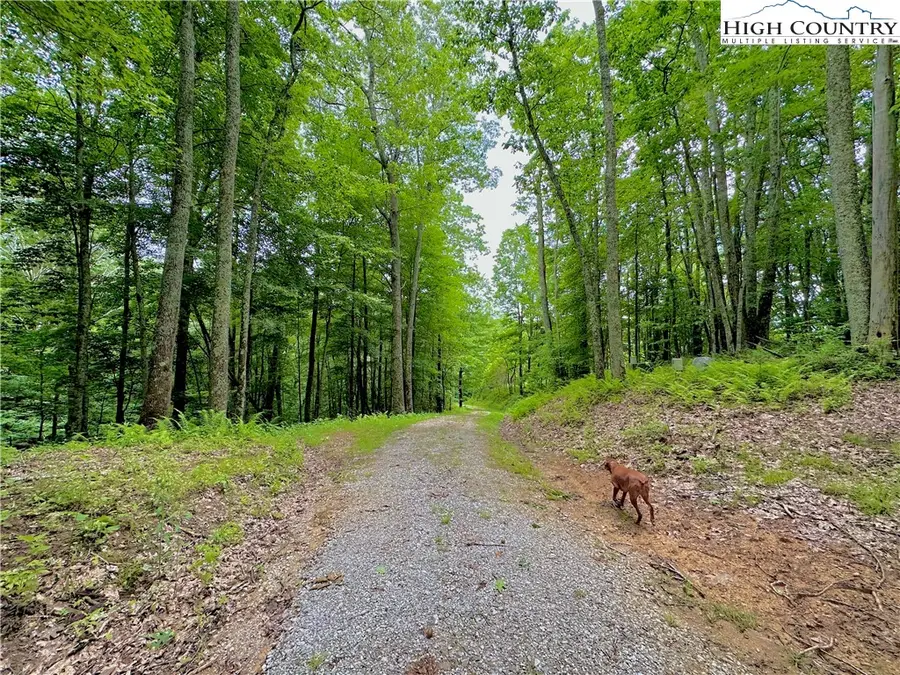 149 Painter Road, Banner Elk, NC 28604 - #2