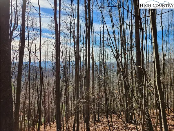 6900 Mertie Road, Millers Creek, NC 28651