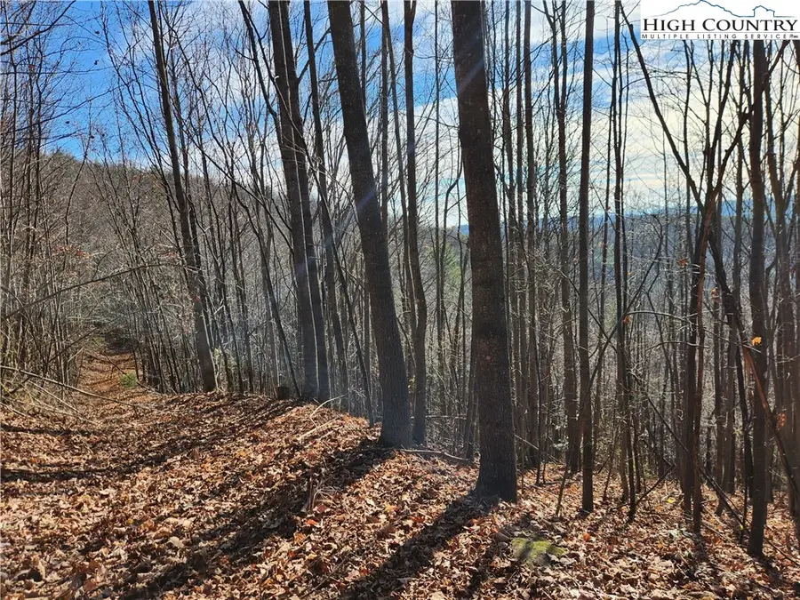 6900 Mertie Road, Millers Creek, NC 28651 - #2