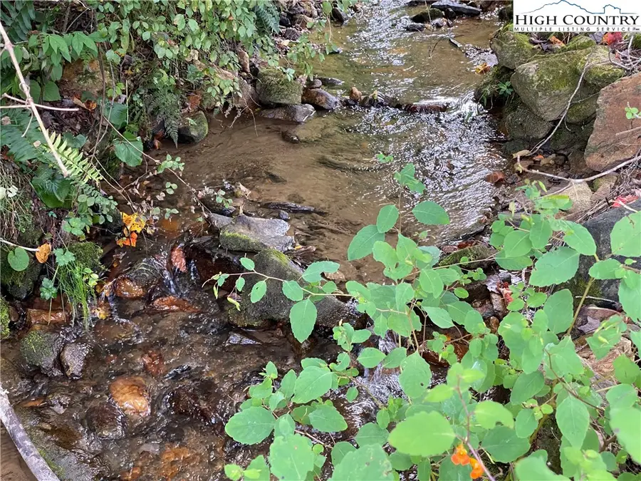 79 & 111 Hensley Branch Road, Burnsville, NC 28714 - #2