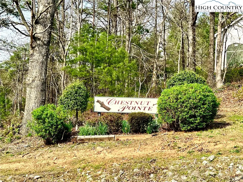 3114 Mountain Laurel Drive, Lenoir, NC 28645 - #1