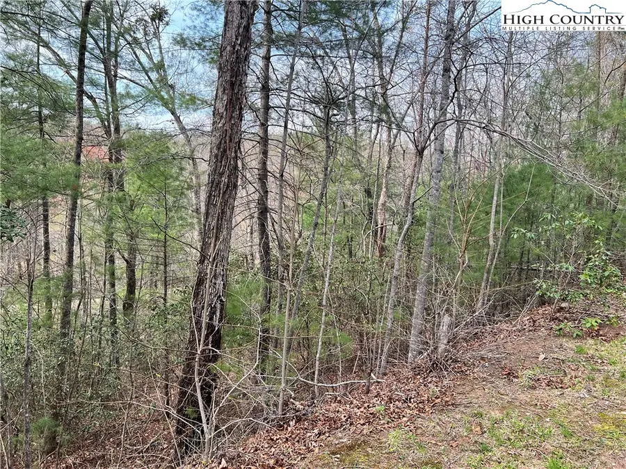 3114 Mountain Laurel Drive, Lenoir, NC 28645 - #3