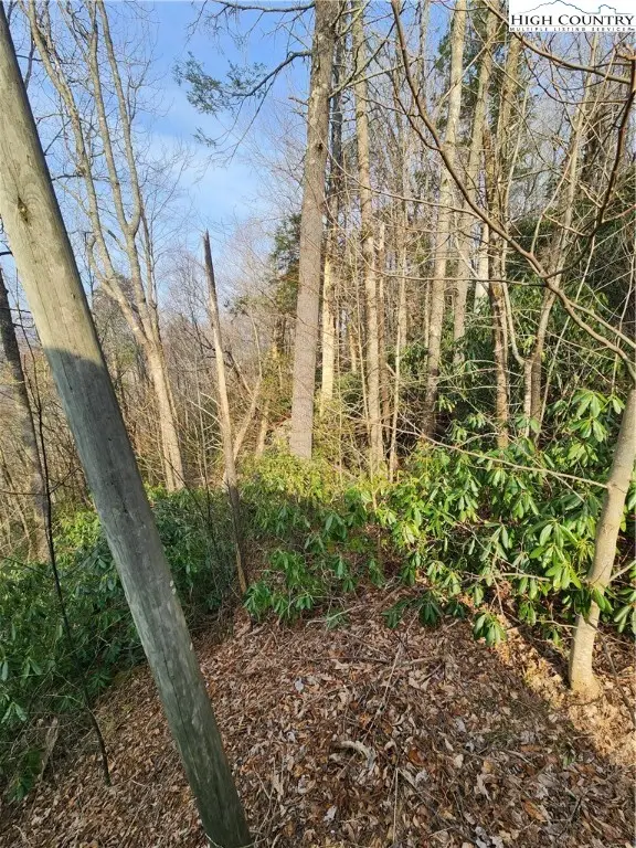 TBD Poplar Ridge Road, Boone, NC 28607 - #1