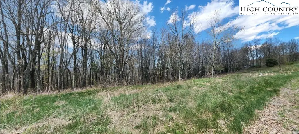 Lot 4 Crestwood Circle, Newland, NC 28657 - #1