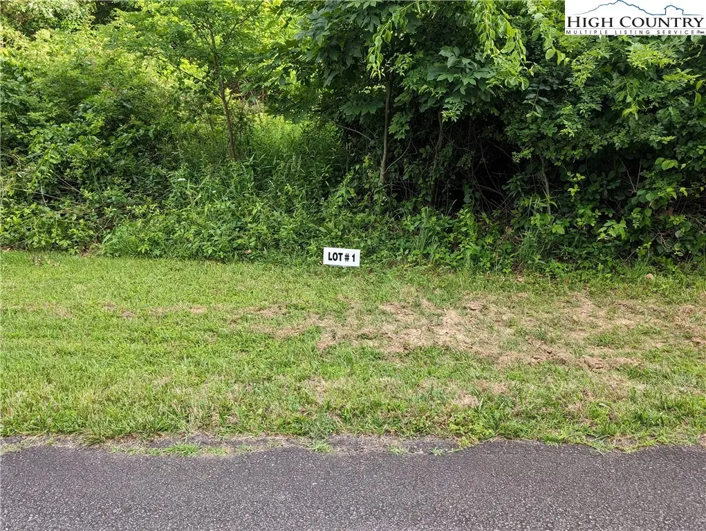 Lot 1 Briarwood Lane, Sparta, NC 28675 - #1