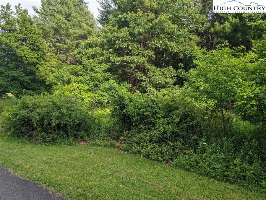Lot 1 Briarwood Lane, Sparta, NC 28675 - #2