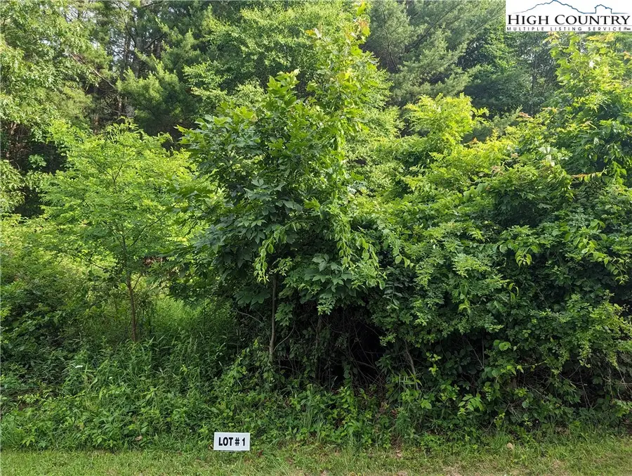 Lot 1 Briarwood Lane, Sparta, NC 28675 - #3