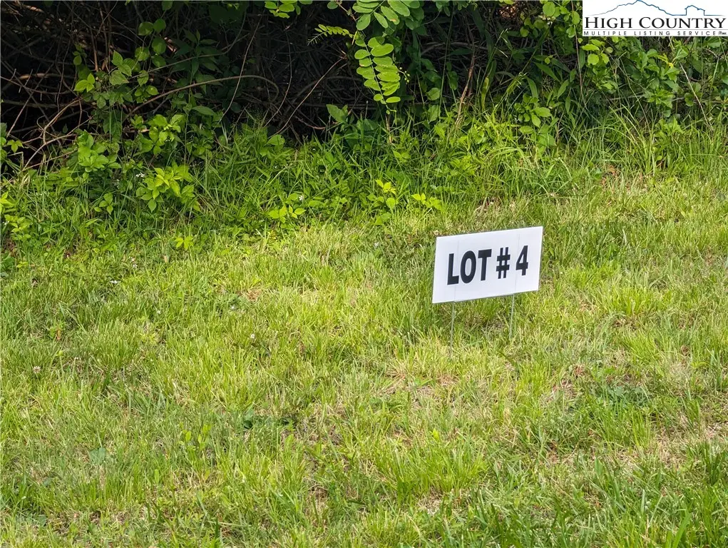 Lot 4 Briarwood Lane, Sparta, NC 28675 - #1