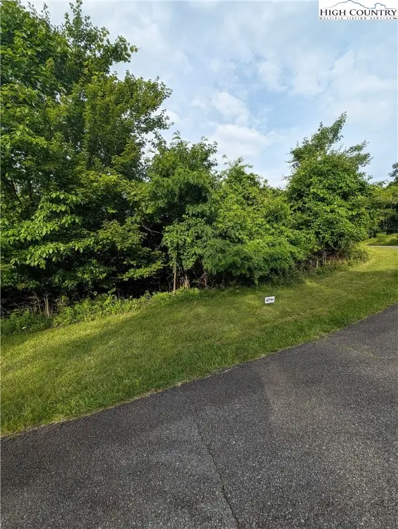 Lot 4 Briarwood Lane, Sparta, NC 28675 - #3