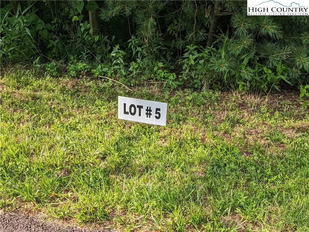 Lot 5 Briarwood Lane, Sparta, NC 28675 - #1