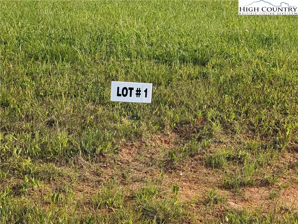 Lot 1 River Creek Drive, Sparta, NC 28675 - #1