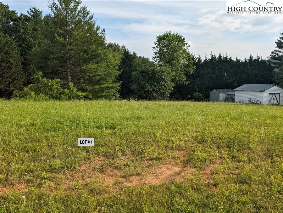 Lot 1 River Creek Drive, Sparta, NC 28675 - #2