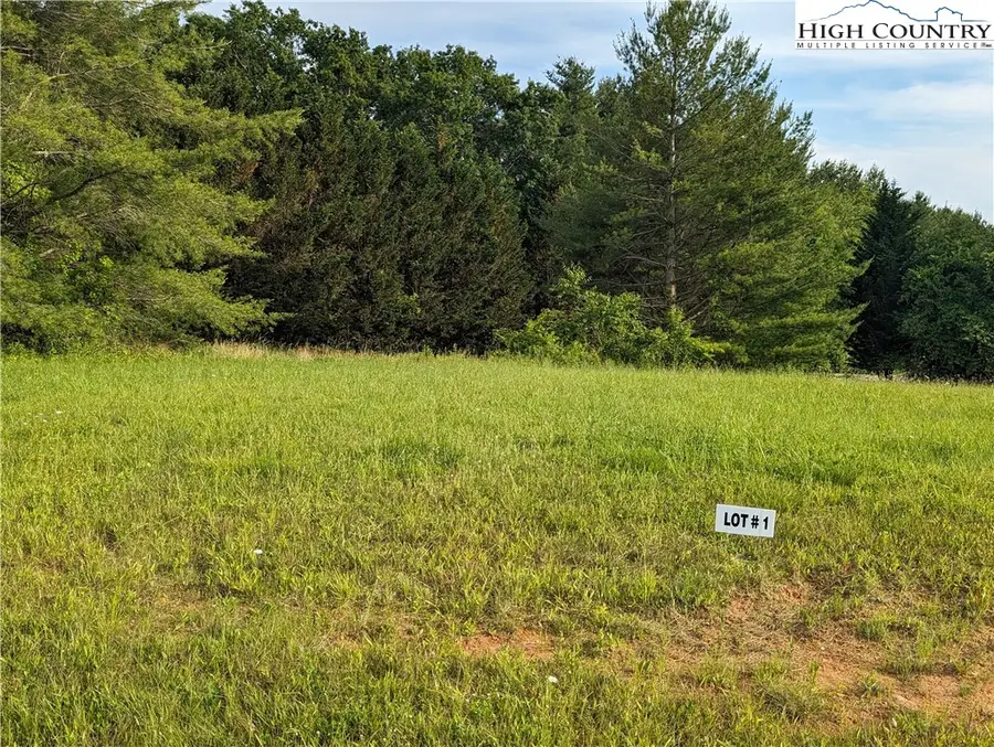Lot 1 River Creek Drive, Sparta, NC 28675 - #3