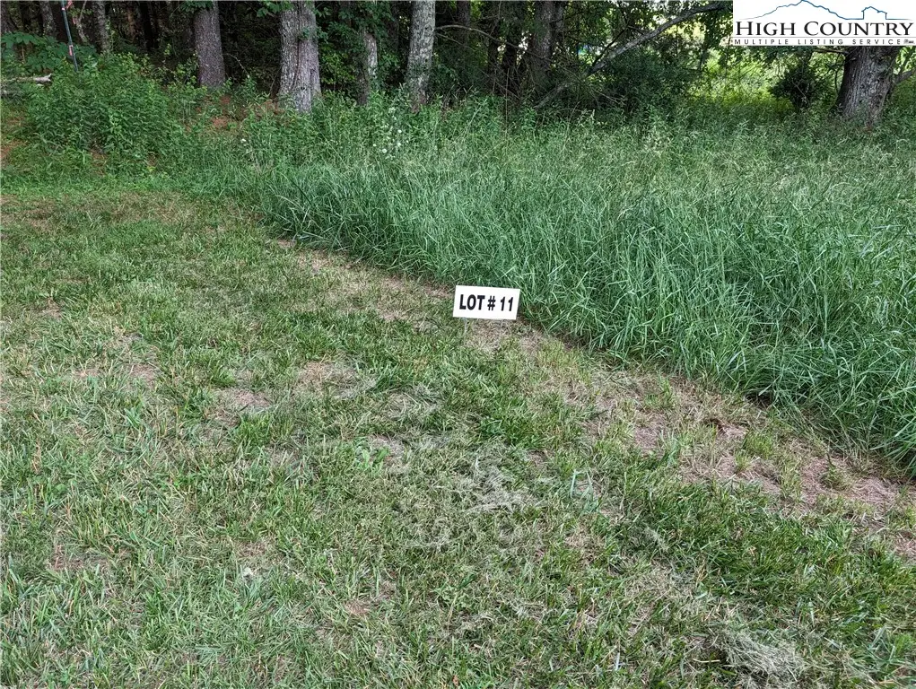 Lot 11 Sugar Creek Lane, Sparta, NC 28675 - #1