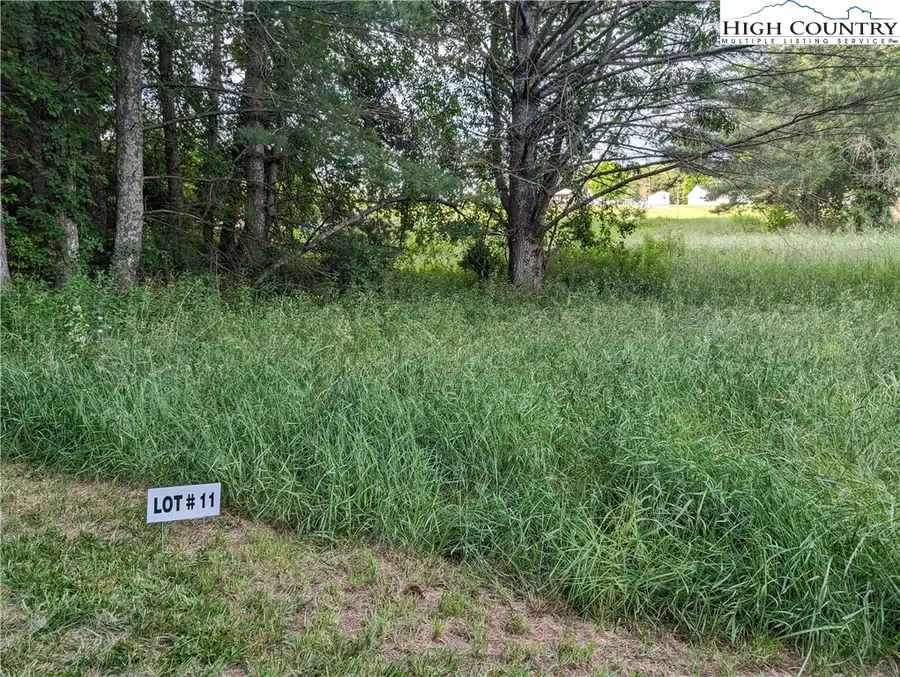 Lot 11 Sugar Creek Lane, Sparta, NC 28675 - #2