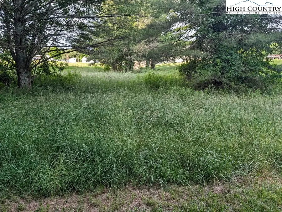 Lot 11 Sugar Creek Lane, Sparta, NC 28675 - #3
