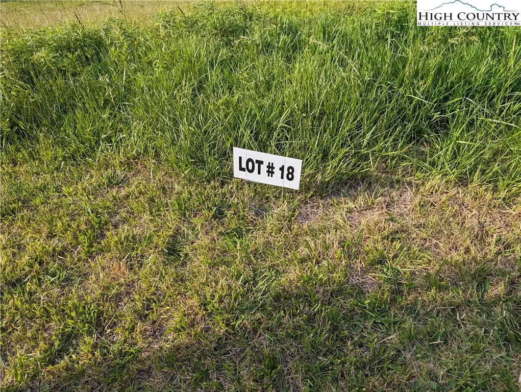 Lot 18 Fraser Road, Sparta, NC 28675 - #1