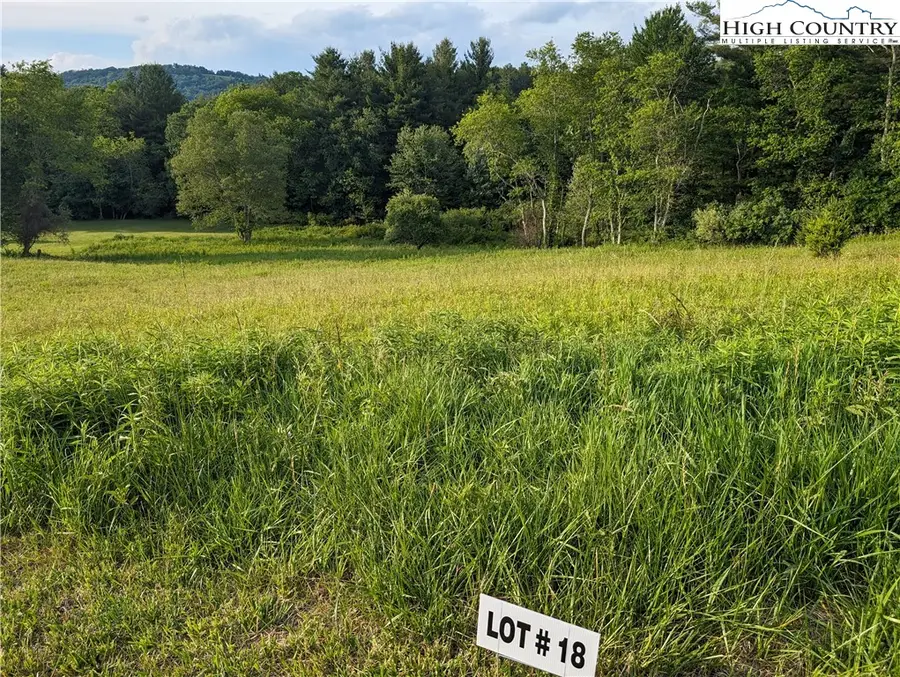 Lot 18 Fraser Road, Sparta, NC 28675 - #2