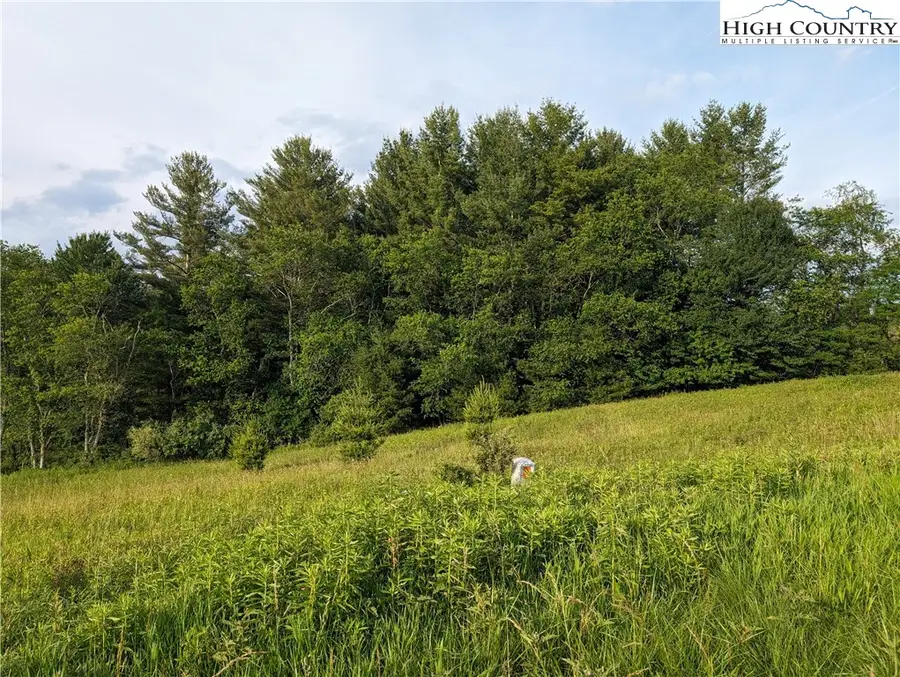 Lot 18 Fraser Road, Sparta, NC 28675 - #3
