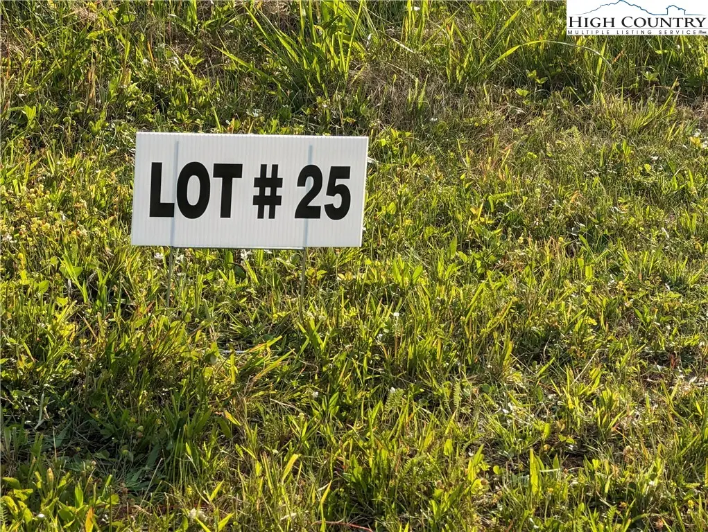 Lot 25 Dockery Lane, Sparta, NC 28675 - #1