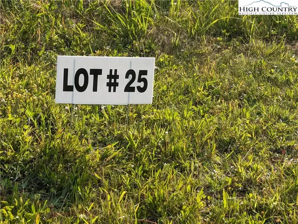 Lot 25 Dockery Lane, Sparta, NC 28675
