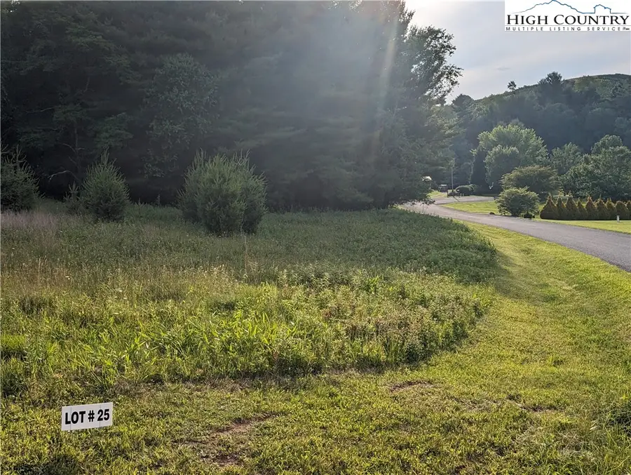Lot 25 Dockery Lane, Sparta, NC 28675 - #2