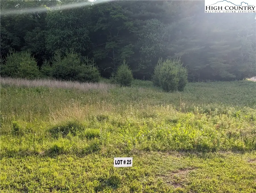 Lot 25 Dockery Lane, Sparta, NC 28675 - #3