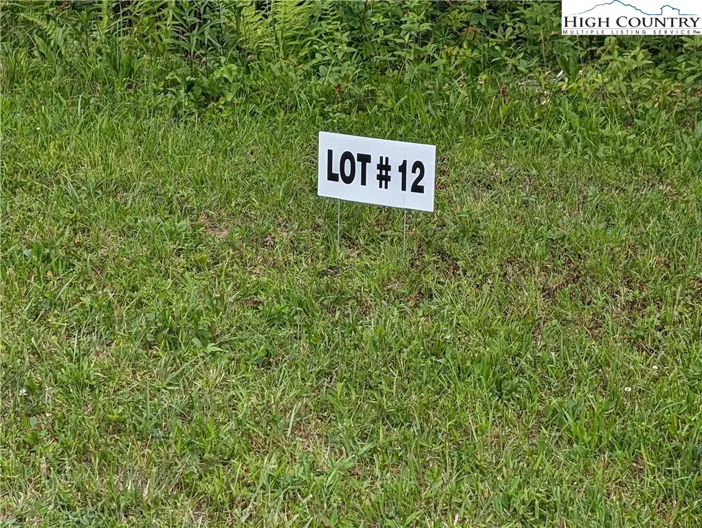 Lot 12 Briarwood Lane, Sparta, NC 28675 - #1