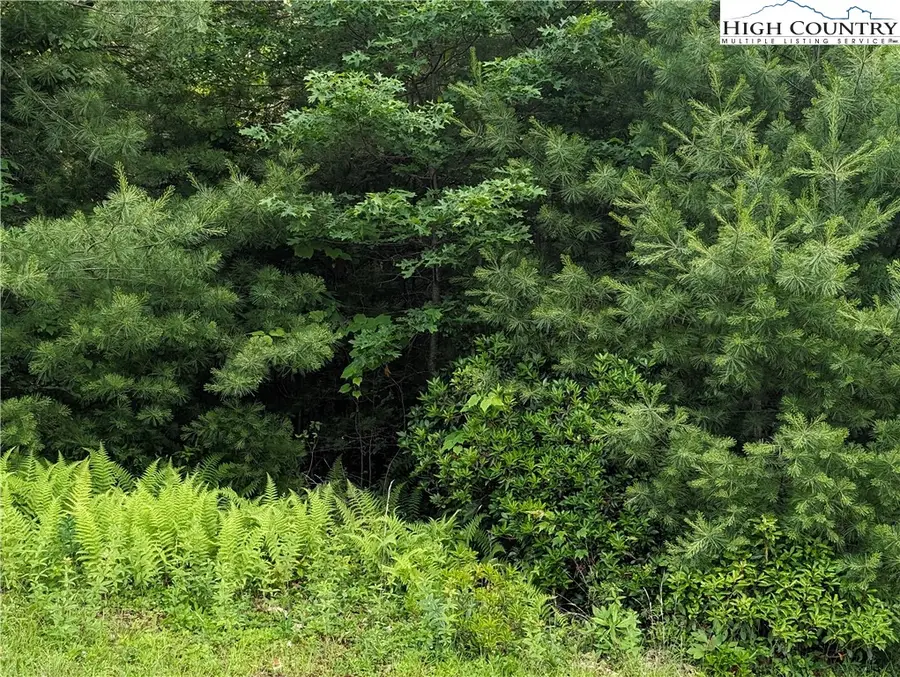Lot 12 Briarwood Lane, Sparta, NC 28675 - #2