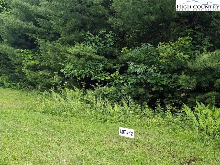 Lot 12 Briarwood Lane, Sparta, NC 28675 - #3