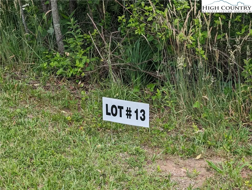 Lot 13 Briarwood Lane, Sparta, NC 28675 - #1