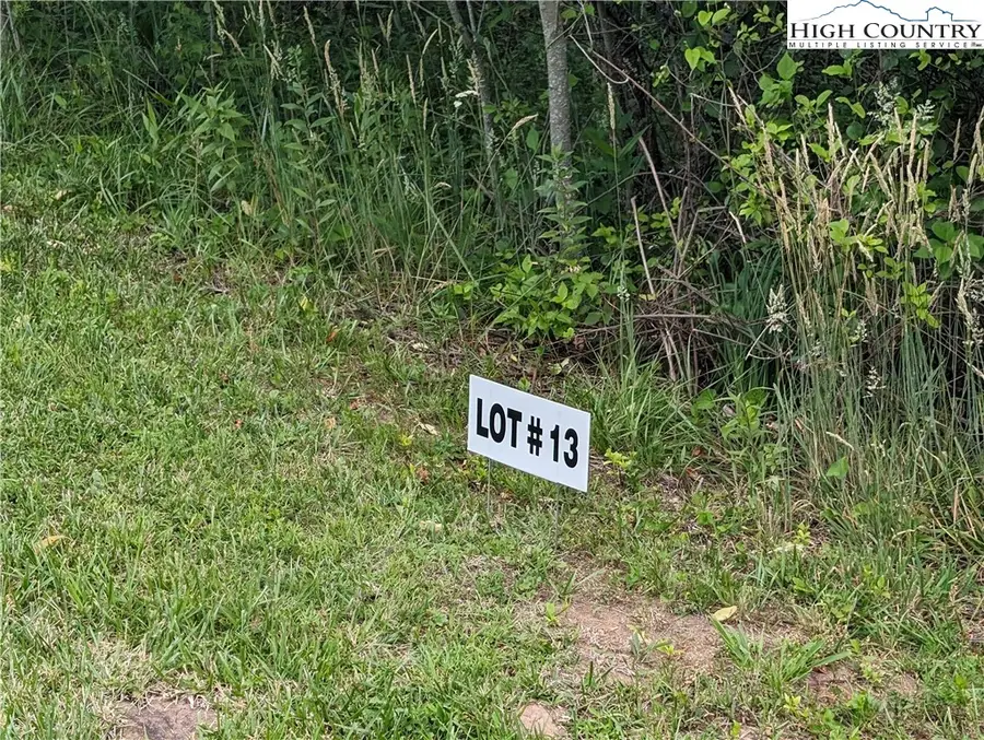 Lot 13 Briarwood Lane, Sparta, NC 28675 - #2