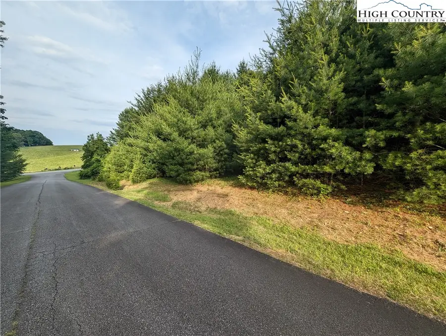 Lot 13 Briarwood Lane, Sparta, NC 28675 - #3
