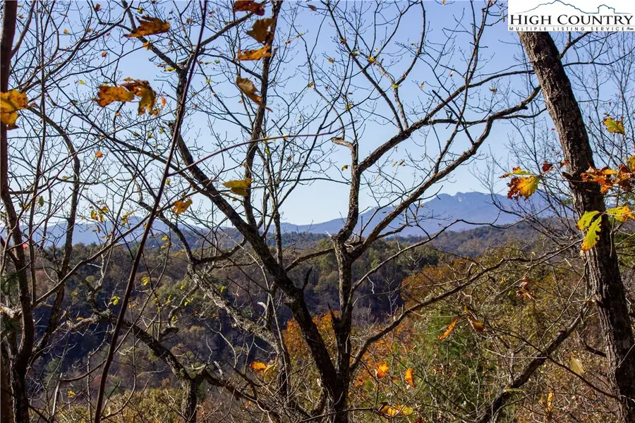 Lot# 547 Autumn Ridge Drive, Lenoir, NC 28645 - #2